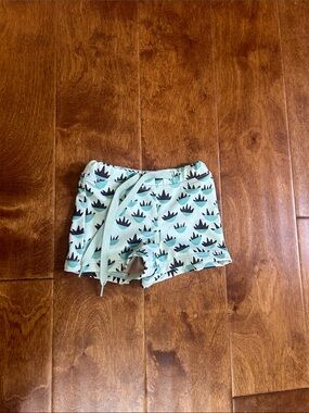 Kortni Jeane swim euro shorts